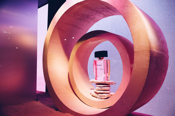 Proenza Schouler Saks 5th Ave Windows